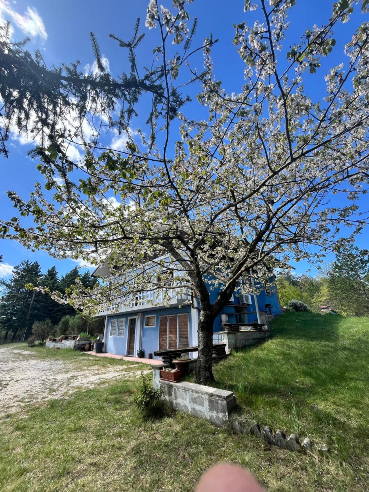 Chalet Ricciano Foligno Esterno foto