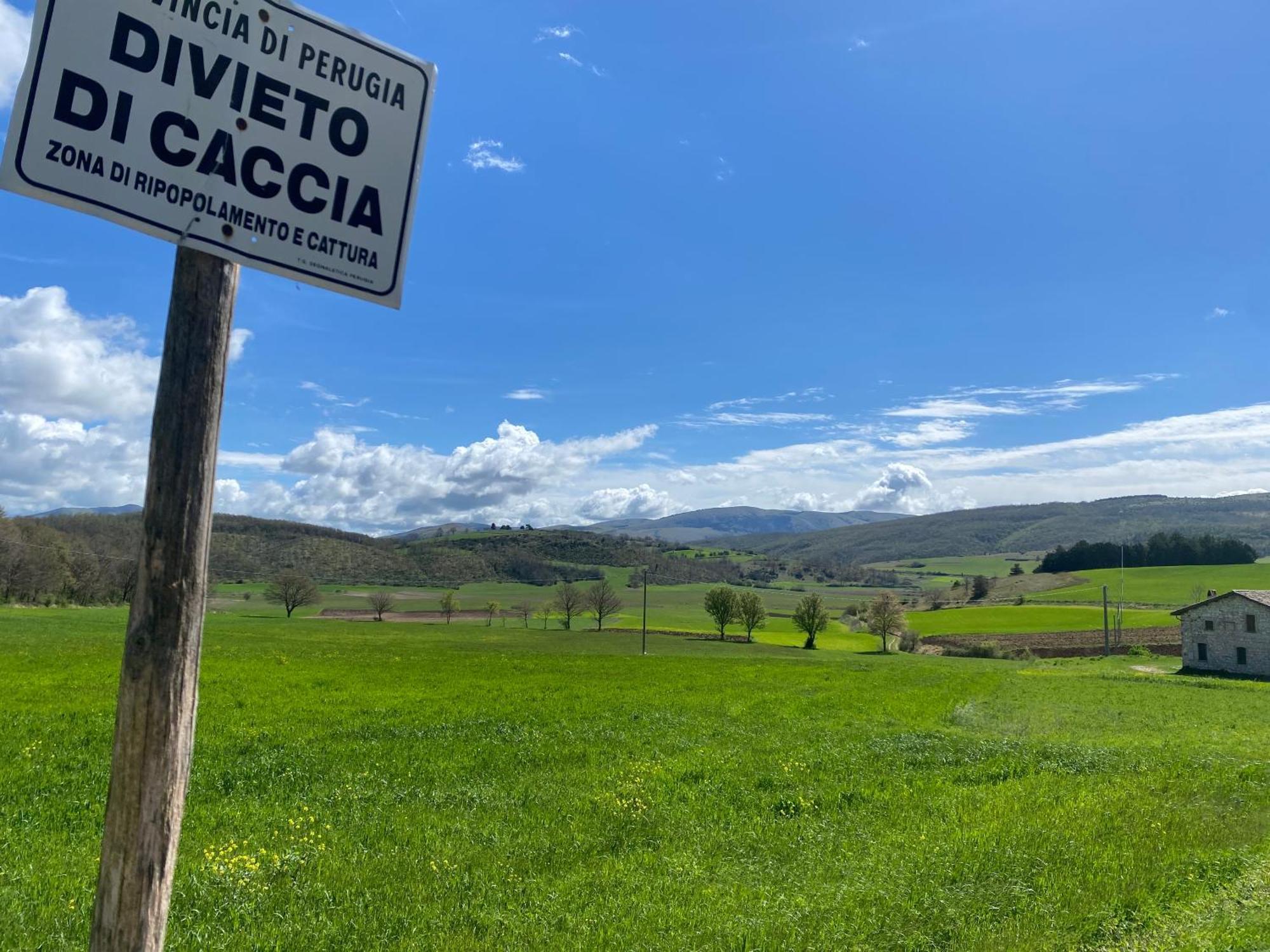 Chalet Ricciano Foligno Esterno foto