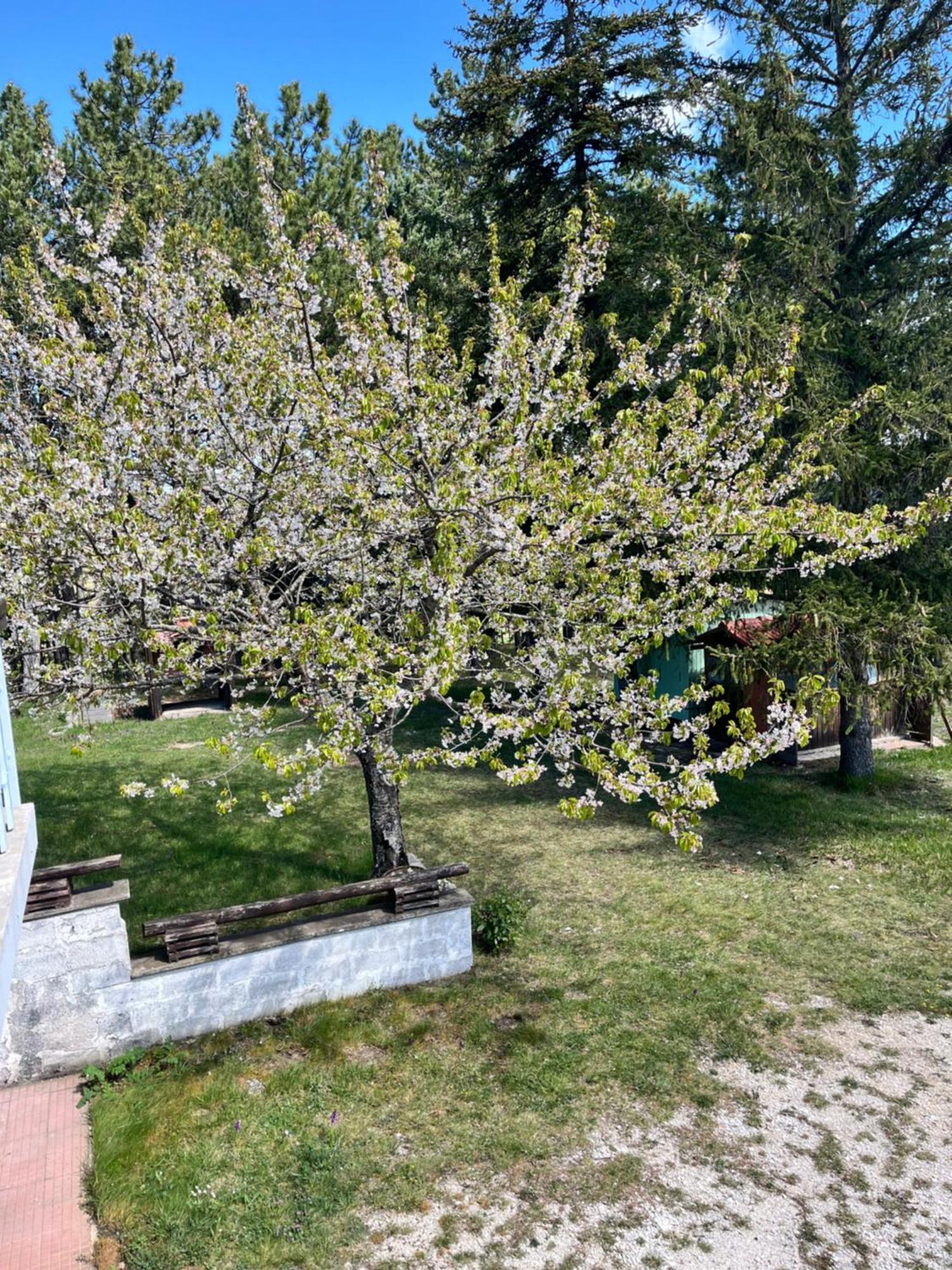 Chalet Ricciano Foligno Esterno foto