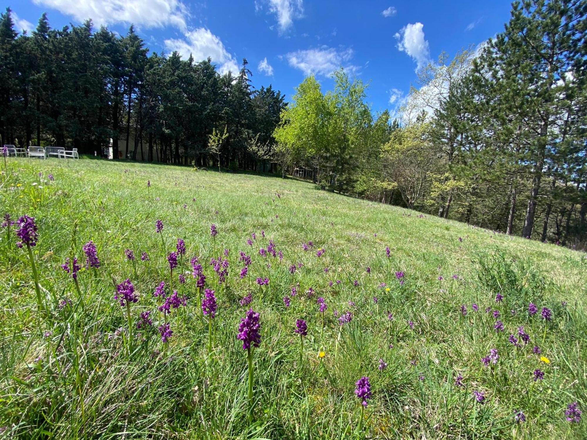 Chalet Ricciano Foligno Esterno foto